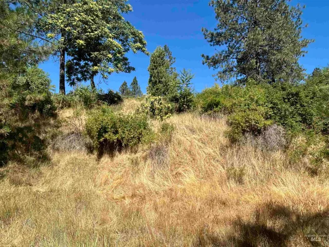 $35,000 | Tbd Highland Highland Court, Orofino, ID 83544