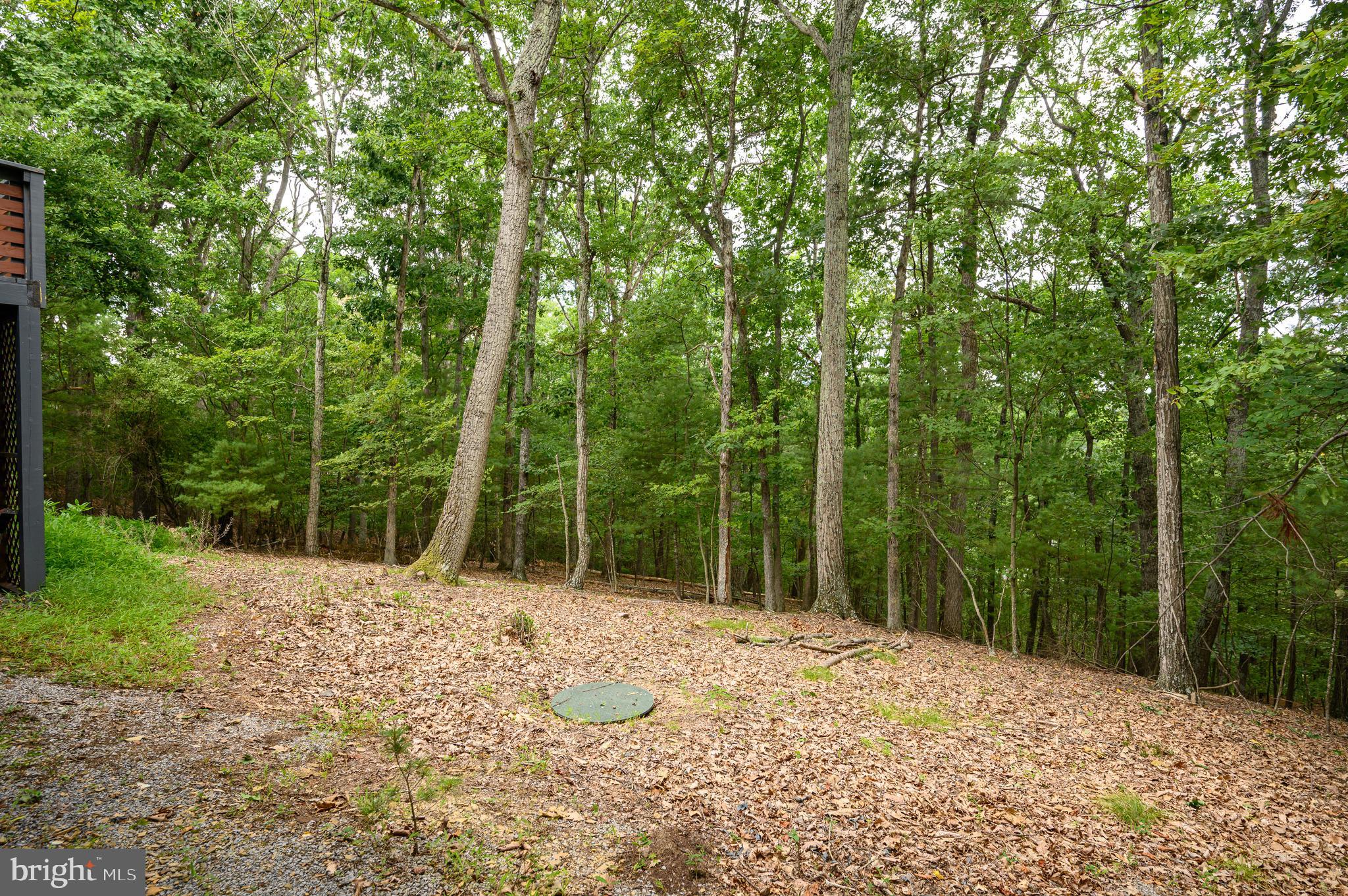 228 Rising Sun Road Hedgesville, WV 25427 - Photo 59 of 113 Gallery Image 59
