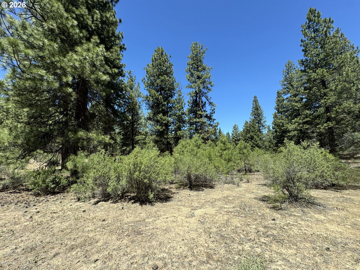 Friendship Drive, Unit 15 Chiloquin, OR 97624 - Photo 36 of 41