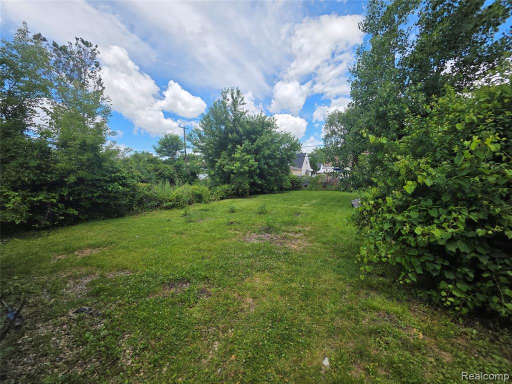 25962 Norfolk Street Inkster, MI 48141 - Photo 23 of 24
