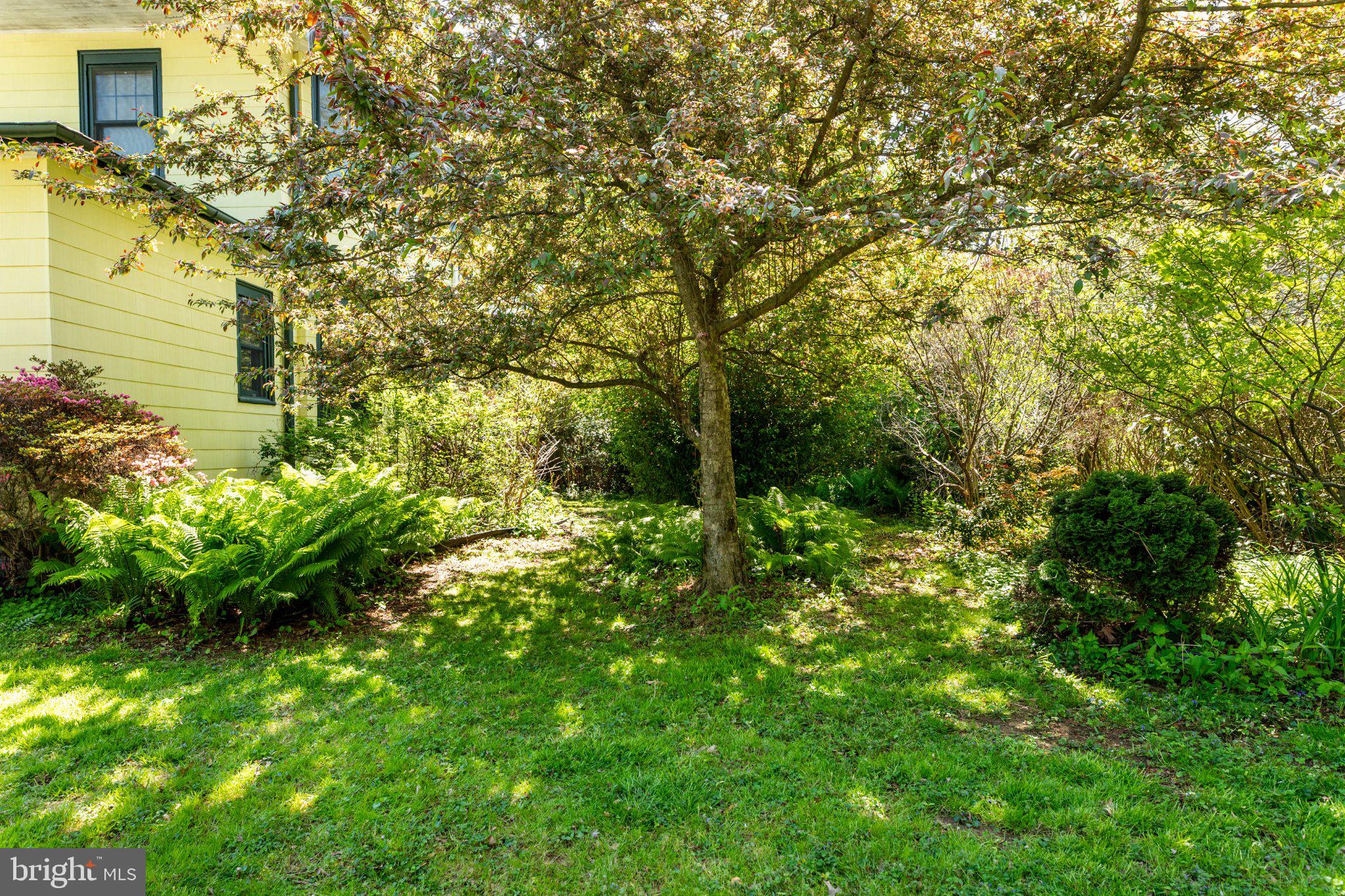7602 Spring Avenue Elkins Park, PA 19027 - Photo 48 of 50 a view of a yard with plants and large trees