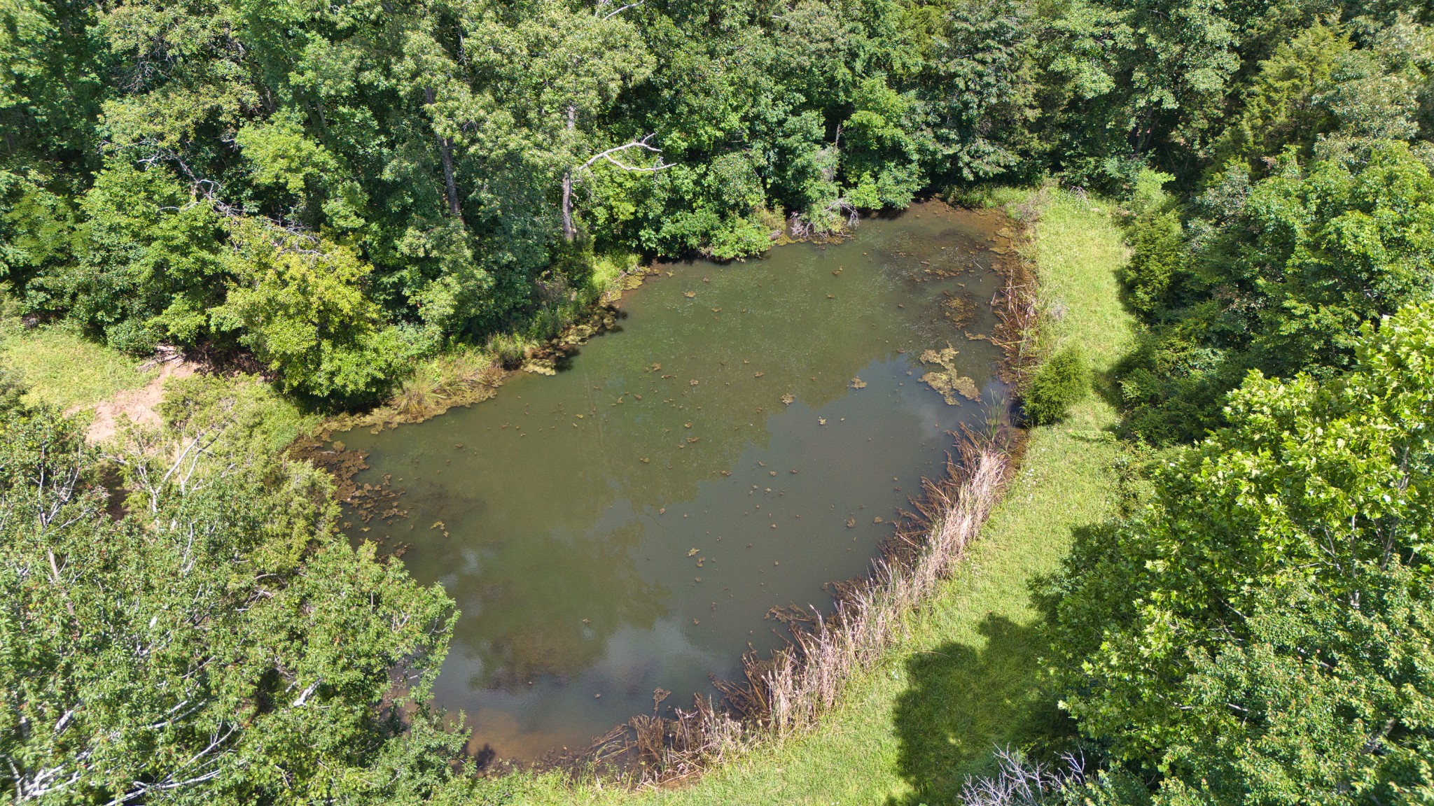 820 Edwards Road Russellville, KY 42276 - Photo 19 of 23 a view of a lake with a yard
