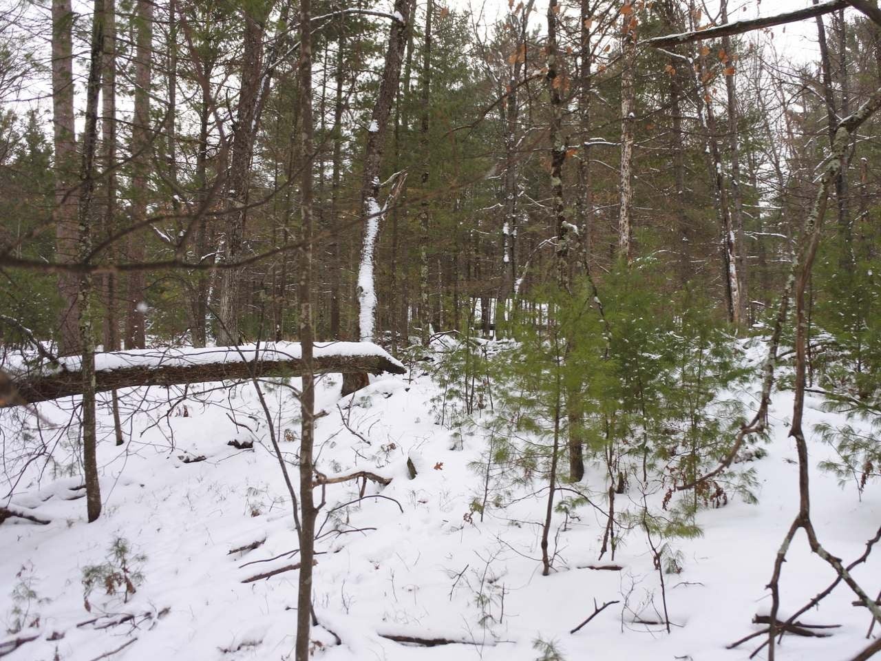 Lot 2 Country Club Road Minocqua, WI 54548 - Photo 13 of 18 Gallery Image 13