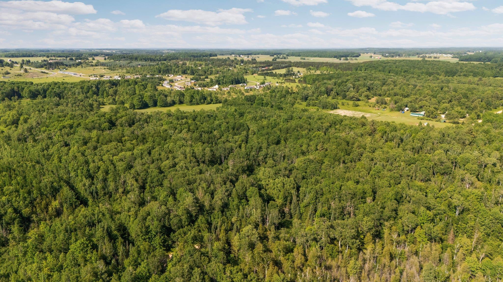 Parcels B Sands Road Buckley, MI 49620 - Photo 20 of 53