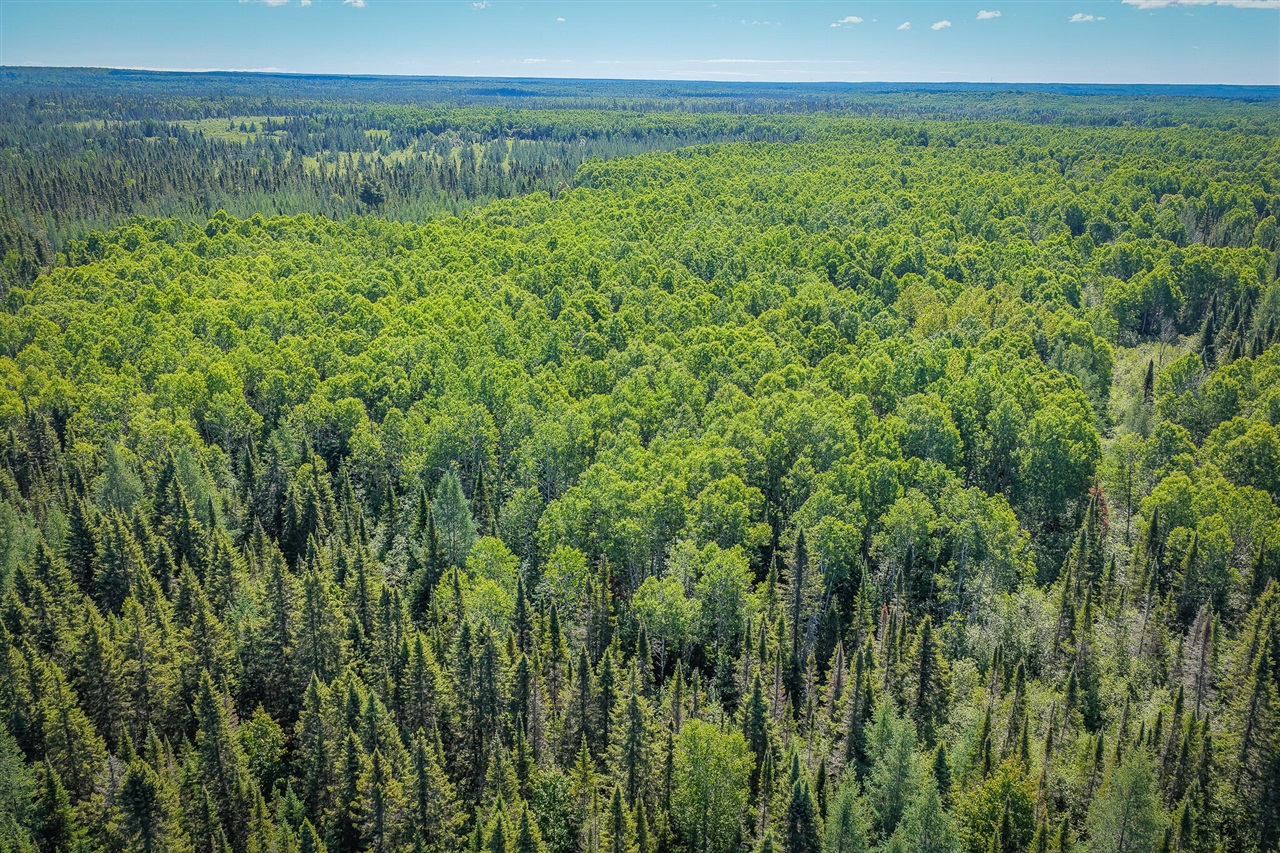 South North Hulbert Road Eckerman, MI 49728 - Photo 8 of 29