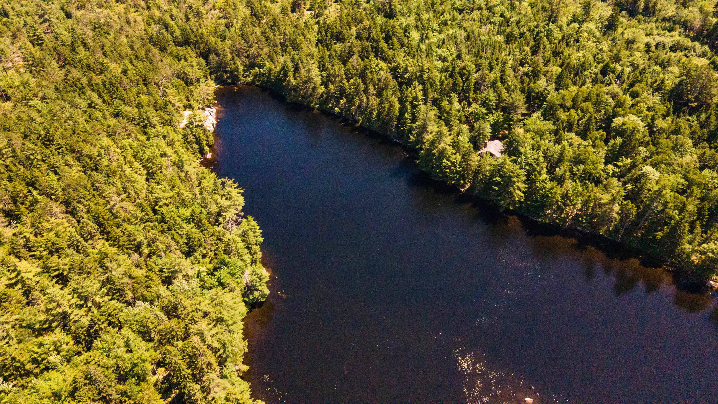 Lot 23 Northfield Road Marshfield, ME 04654 - Photo 13 of 35 SIX MILE AND MARKS LAKE-078