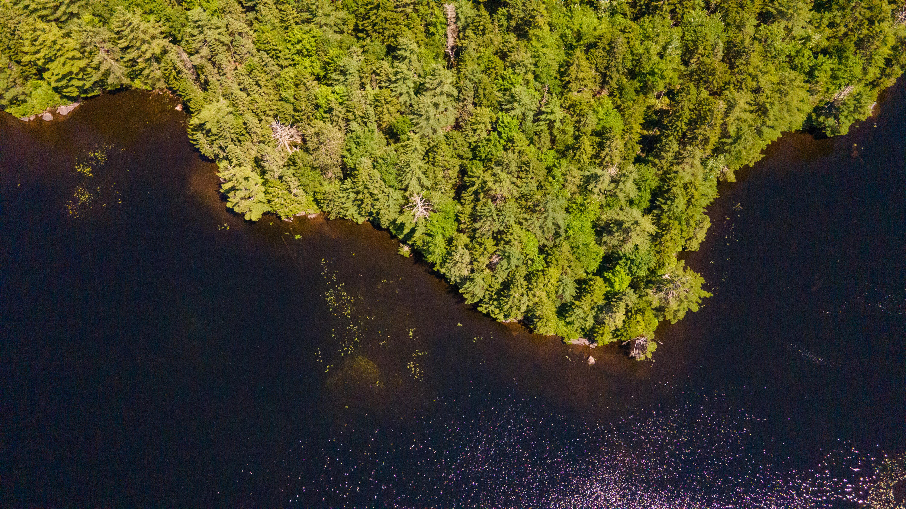 Lot 23 Northfield Road Marshfield, ME 04654 - Photo 14 of 35 SIX MILE AND MARKS LAKE-079