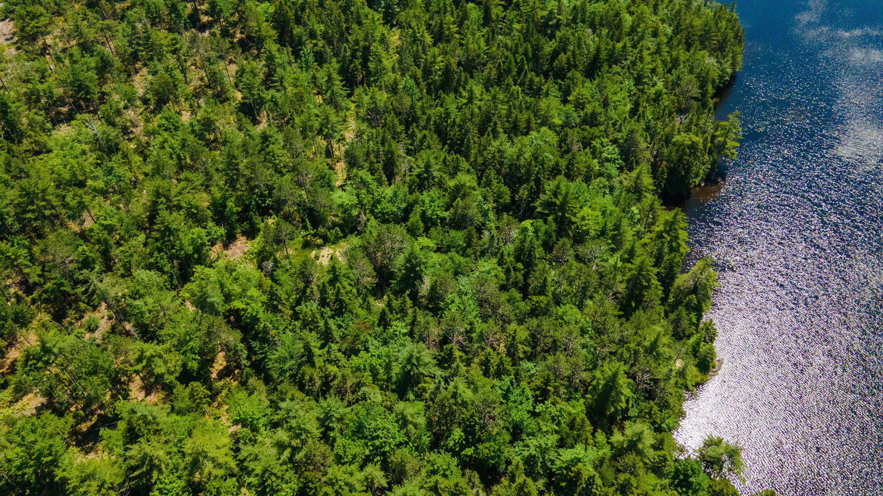 Lot 23 Northfield Road Marshfield, ME 04654 - Photo 15 of 35 SIX MILE AND MARKS LAKE-068