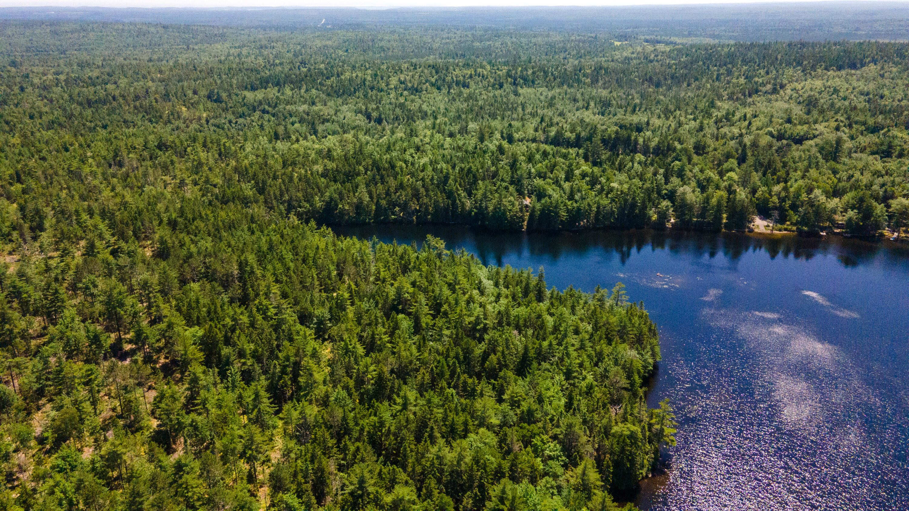 Lot 23 Northfield Road Marshfield, ME 04654 - Photo 16 of 35 SIX MILE AND MARKS LAKE-070