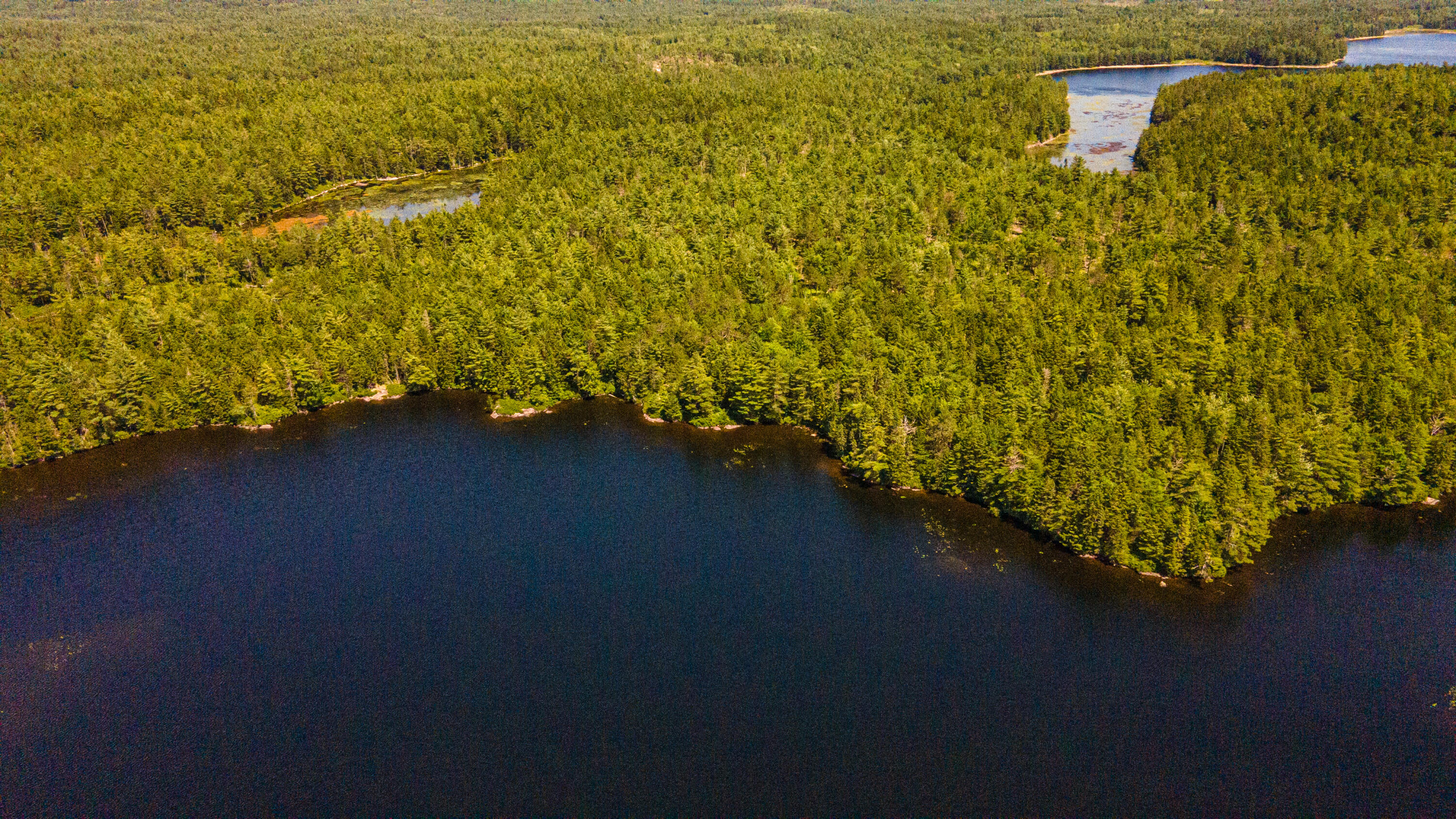 Lot 23 Northfield Road Marshfield, ME 04654 - Photo 18 of 35 SIX MILE AND MARKS LAKE-080