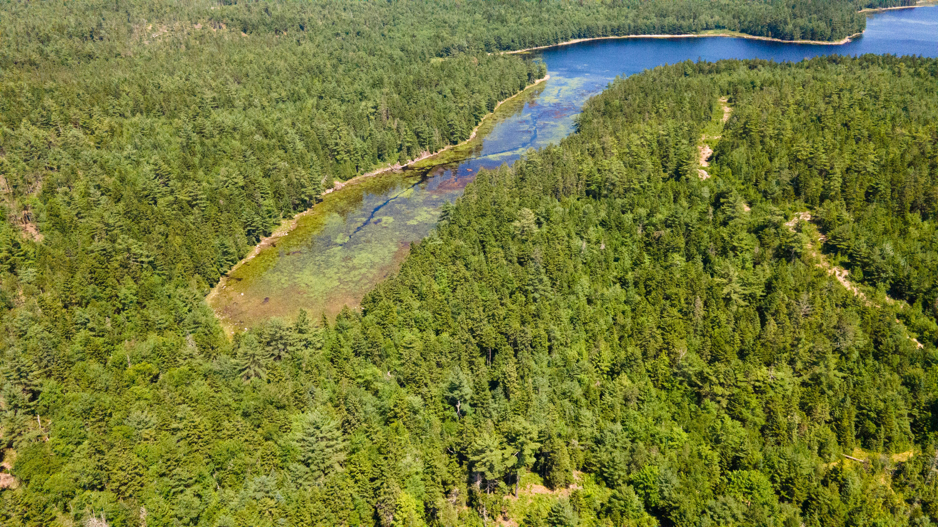 Lot 23 Northfield Road Marshfield, ME 04654 - Photo 20 of 35 SIX MILE AND MARKS LAKE-044