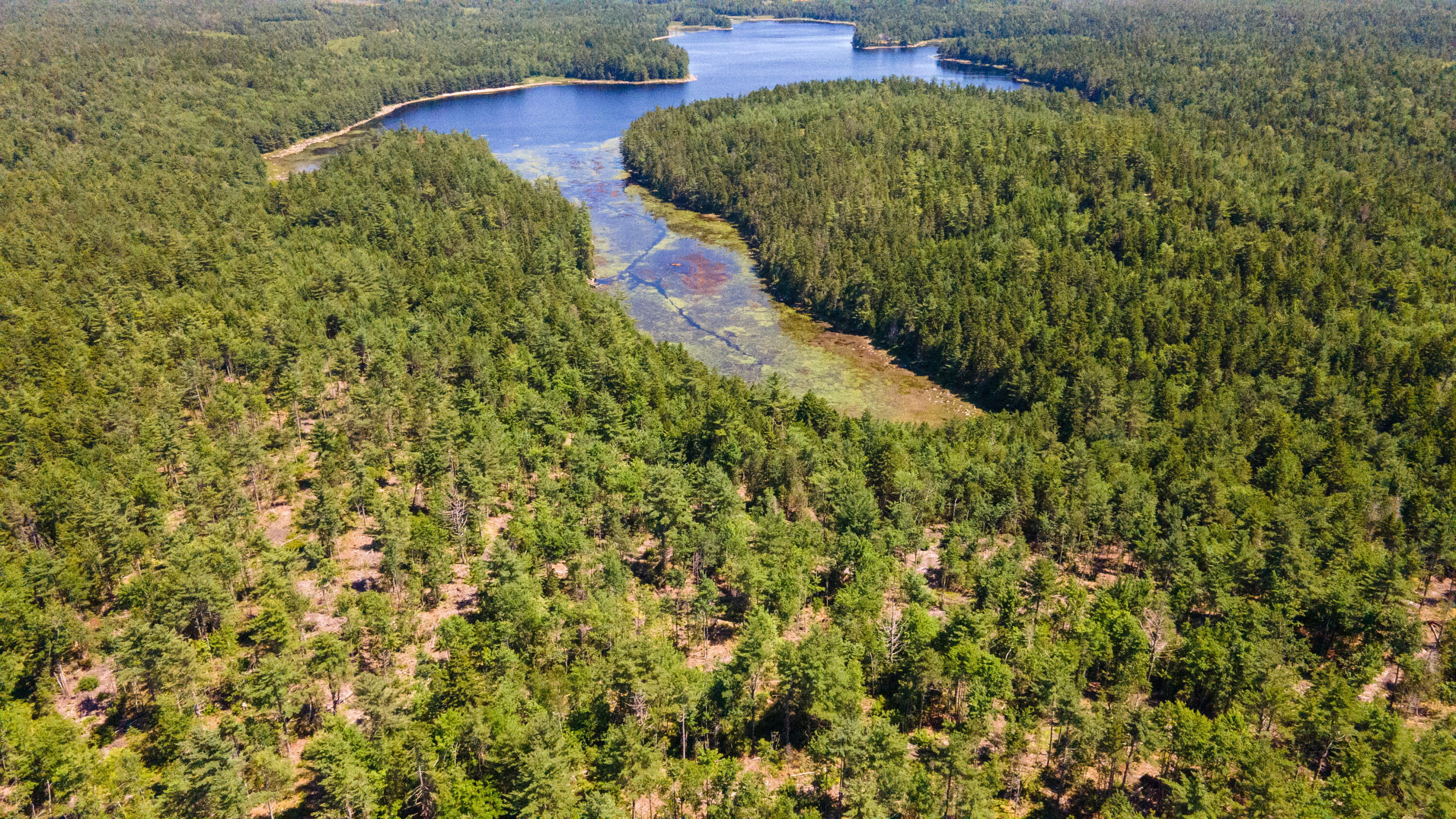 Lot 23 Northfield Road Marshfield, ME 04654 - Photo 21 of 35 SIX MILE AND MARKS LAKE-063