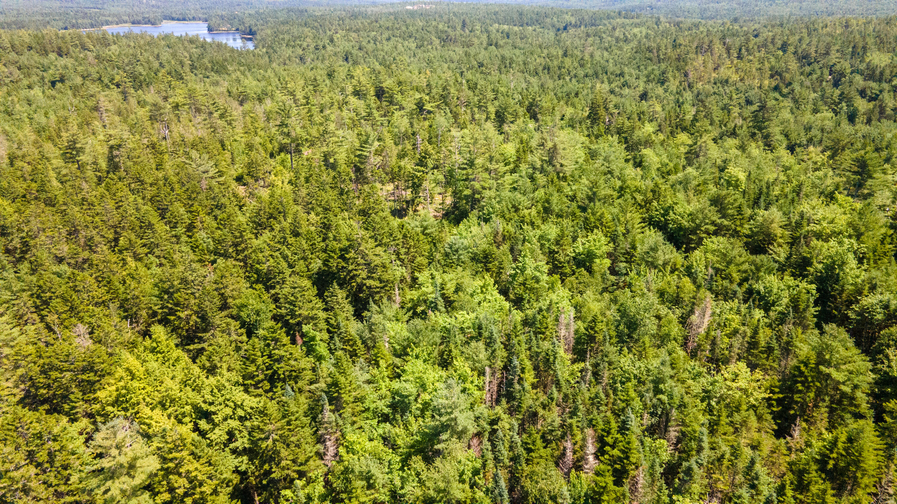 Lot 23 Northfield Road Marshfield, ME 04654 - Photo 22 of 35 SIX MILE AND MARKS LAKE-004