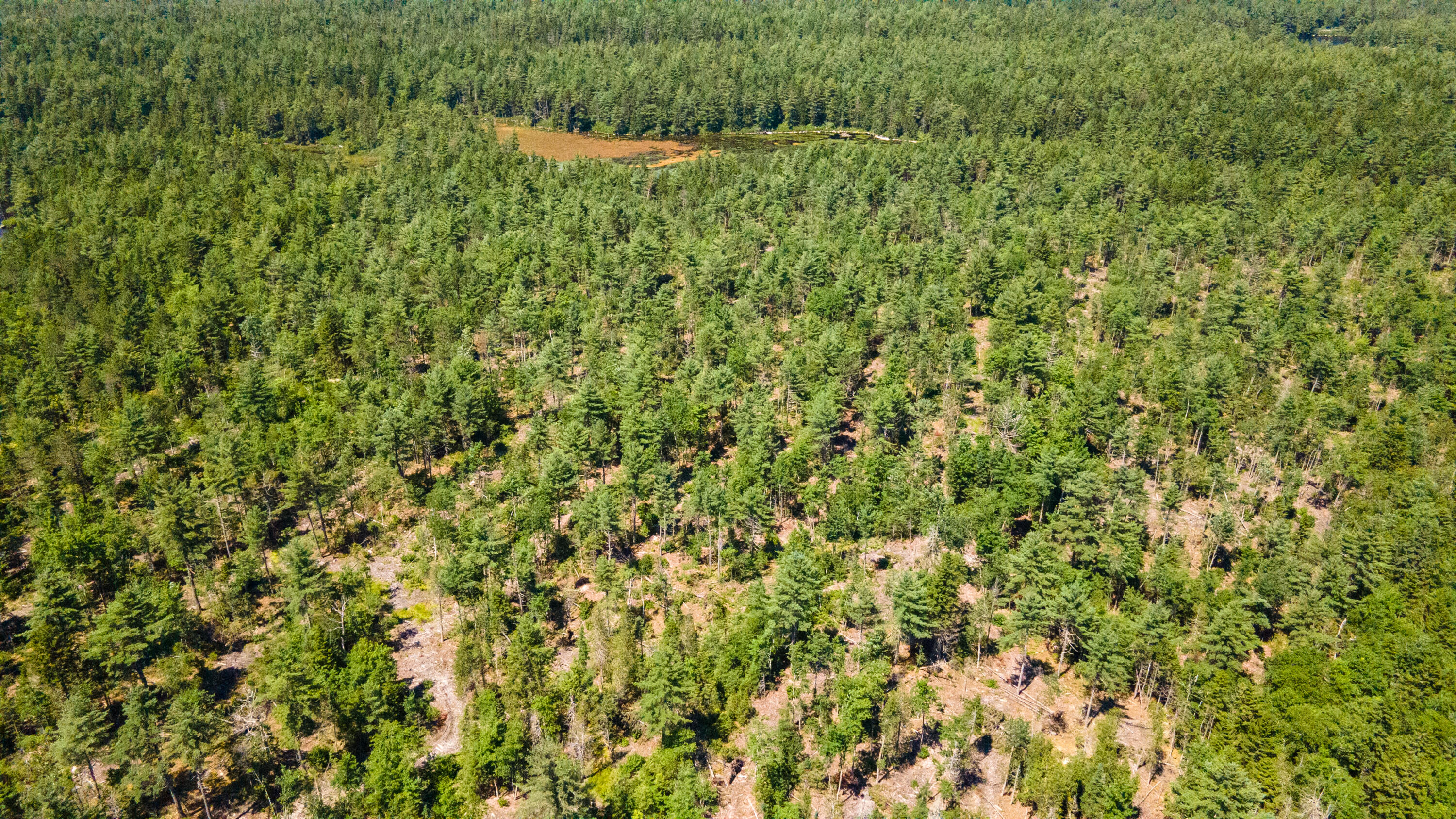 Lot 23 Northfield Road Marshfield, ME 04654 - Photo 26 of 35 SIX MILE AND MARKS LAKE-045