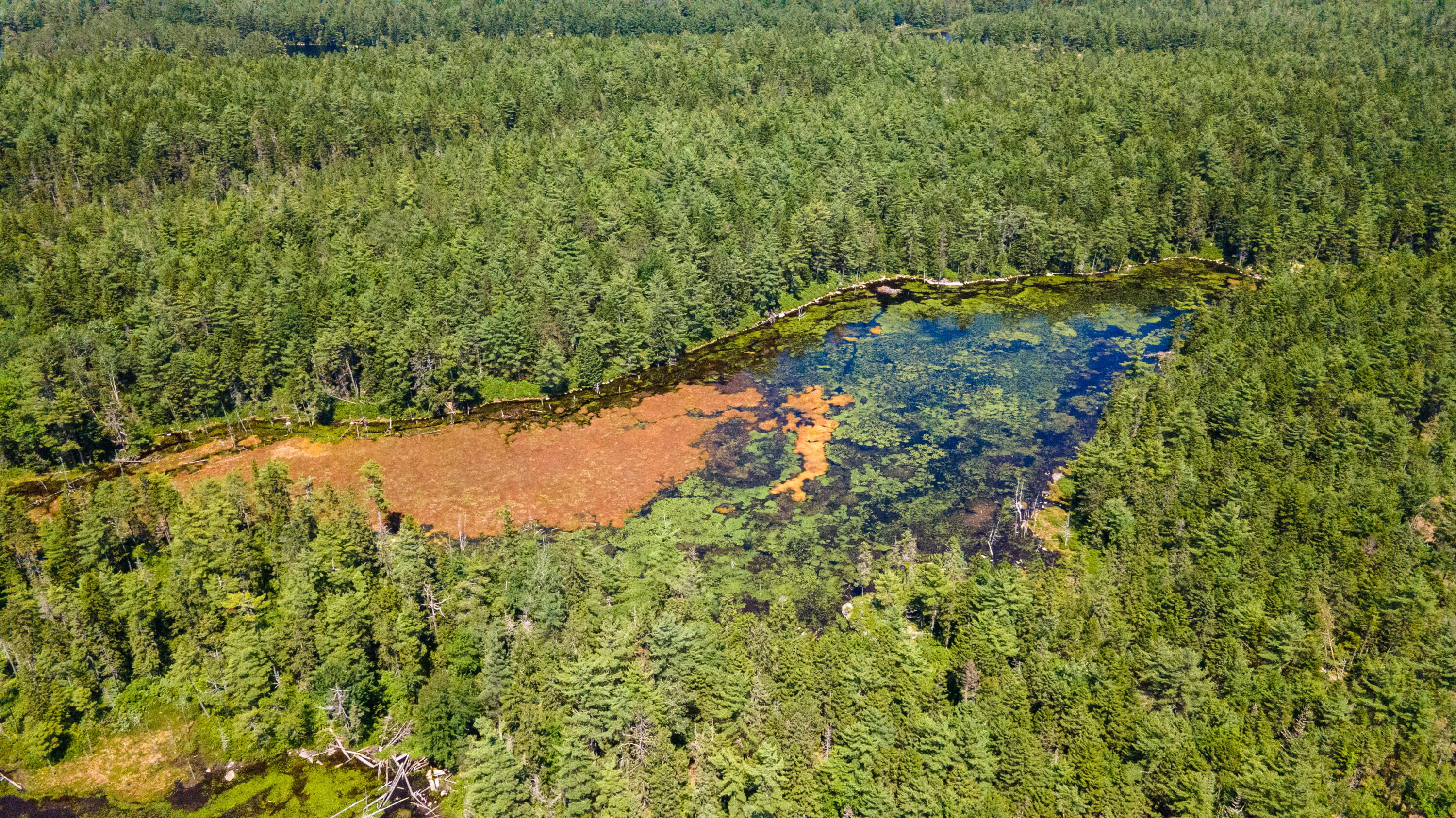 Lot 23 Northfield Road Marshfield, ME 04654 - Photo 28 of 35 SIX MILE AND MARKS LAKE-072