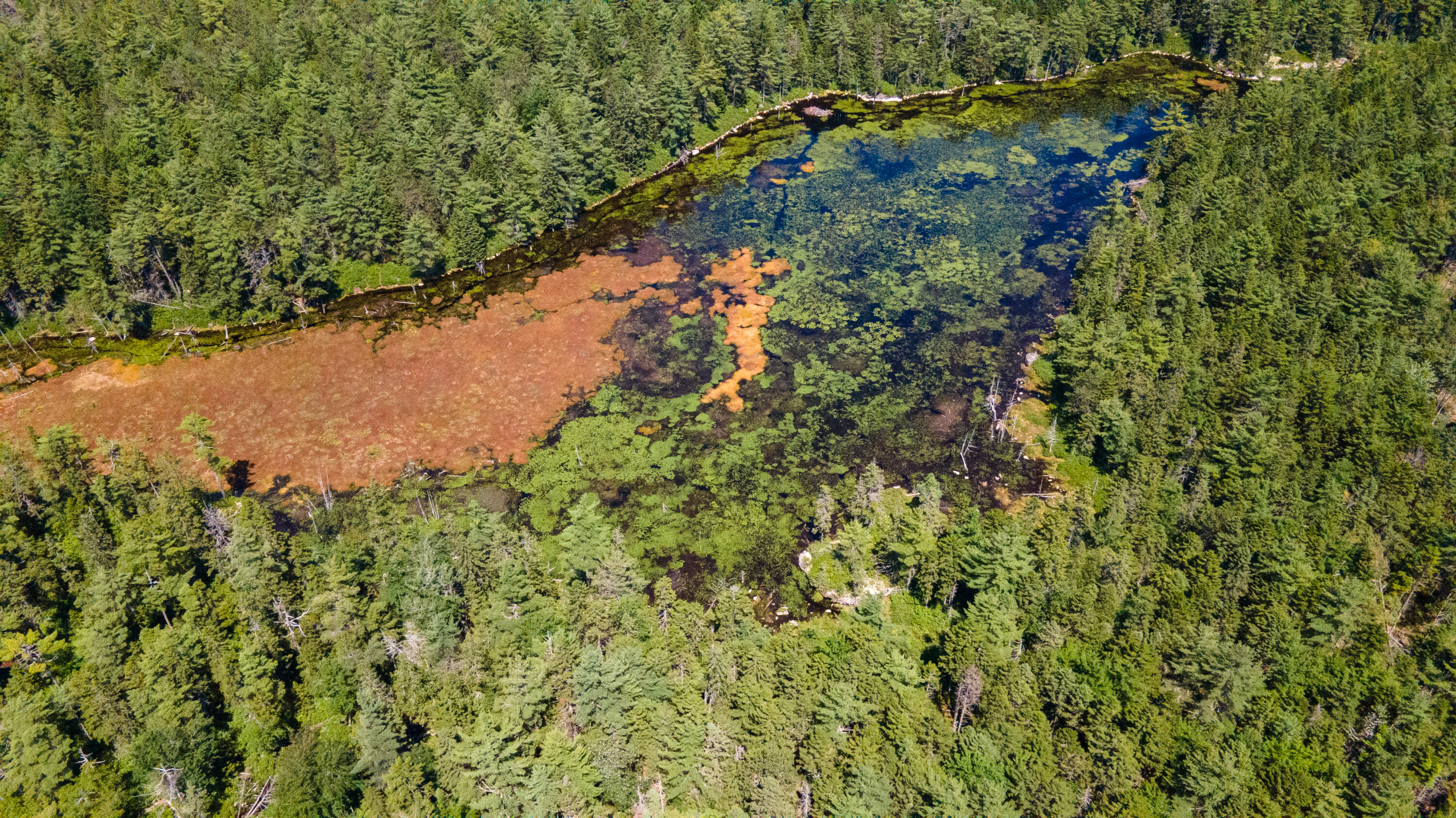 Lot 23 Northfield Road Marshfield, ME 04654 - Photo 29 of 35 SIX MILE AND MARKS LAKE-067