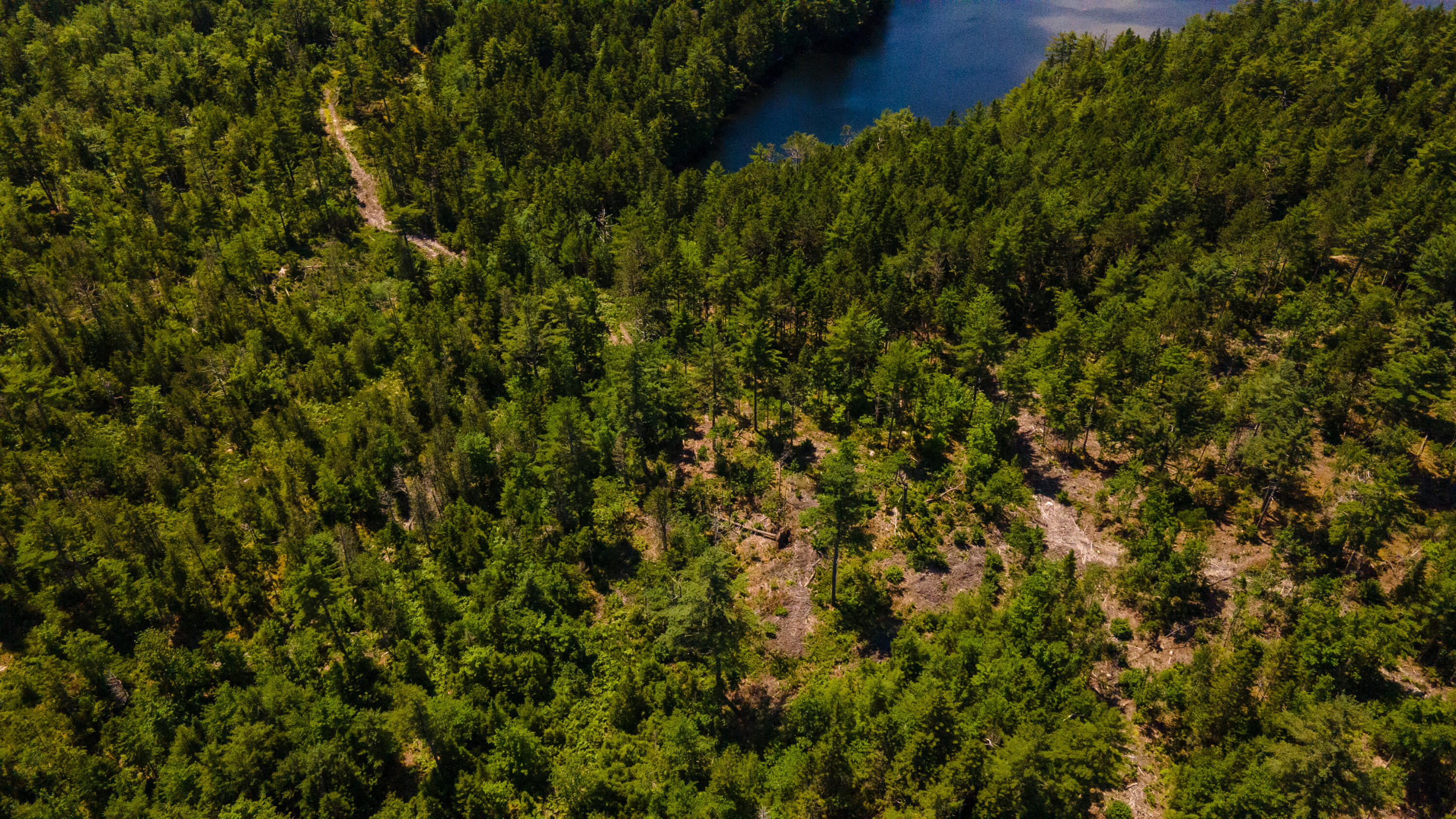 Lot 23 Northfield Road Marshfield, ME 04654 - Photo 30 of 35 SIX MILE AND MARKS LAKE-047