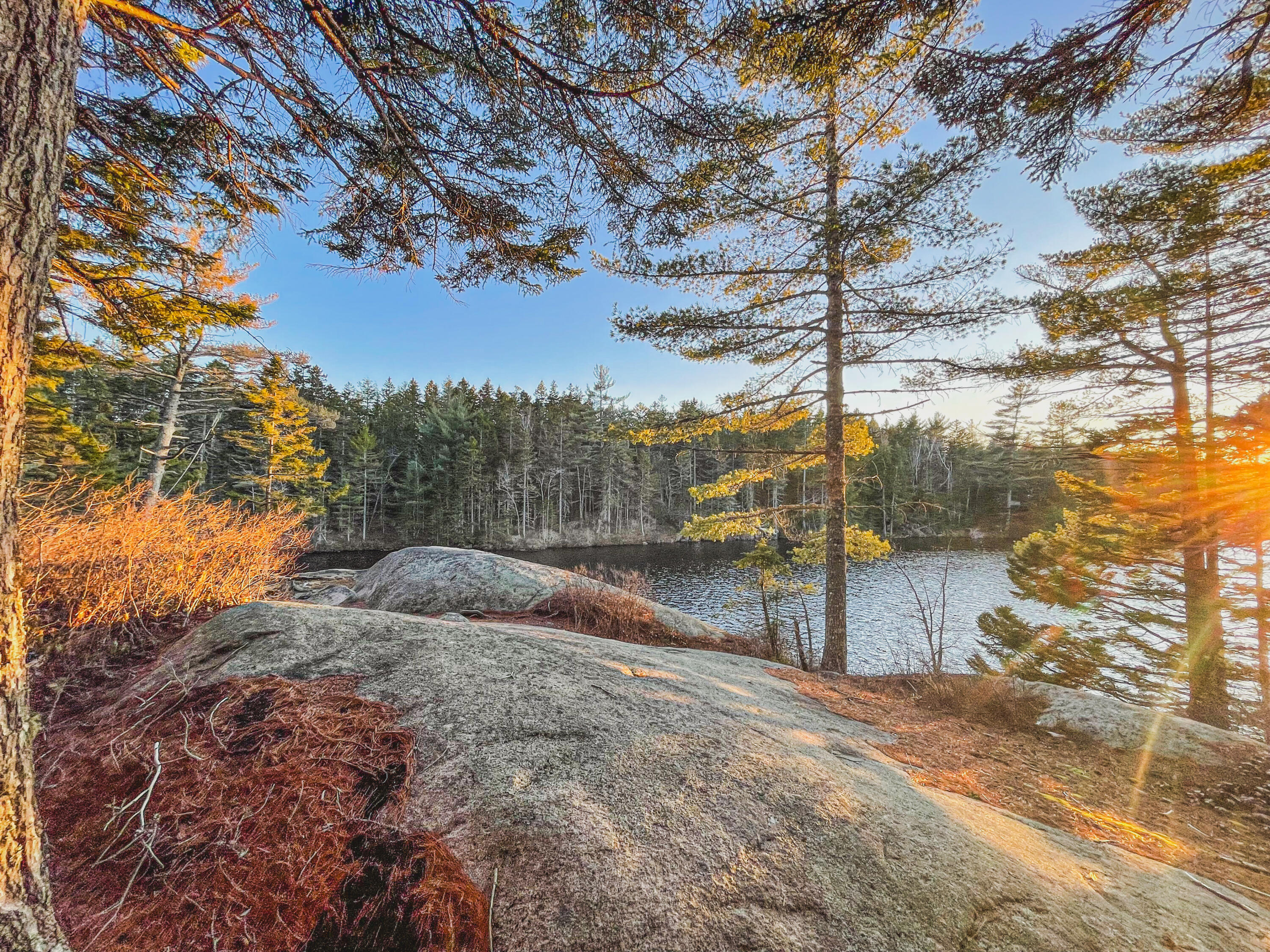 Lot 23 Northfield Road Marshfield, ME 04654 - Photo 35 of 35 LEDGES VIEW TOWARD COVE