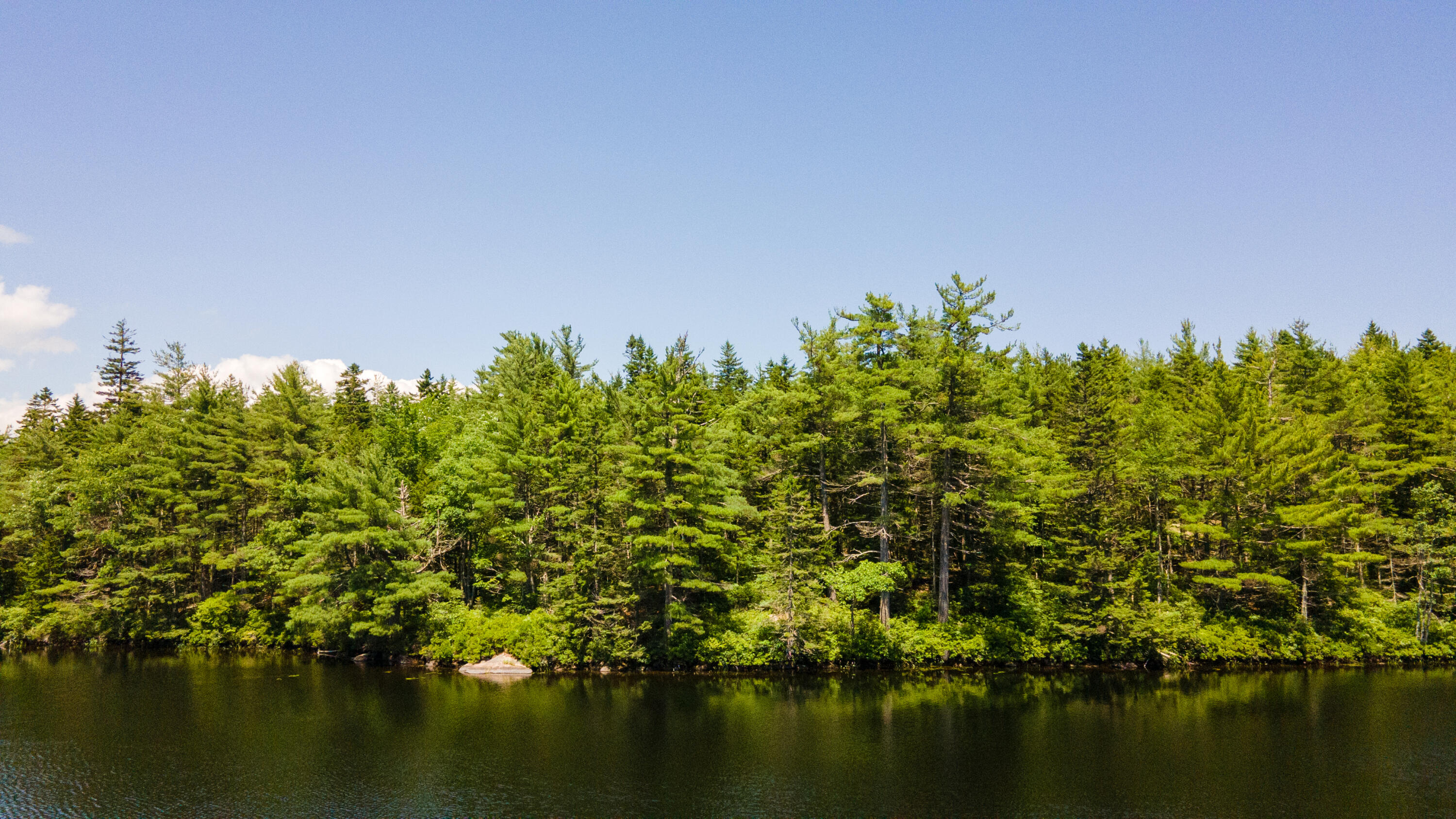 Lot 23 Northfield Road Marshfield, ME 04654 - Photo 9 of 35 SIX MILE AND MARKS LAKE-016