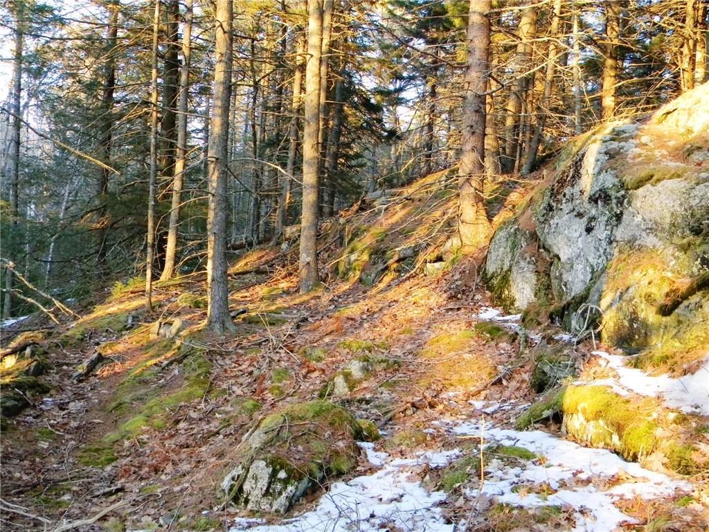 0 Junction Road Westport Island, ME 04578 - Photo 5 of 18 Photo