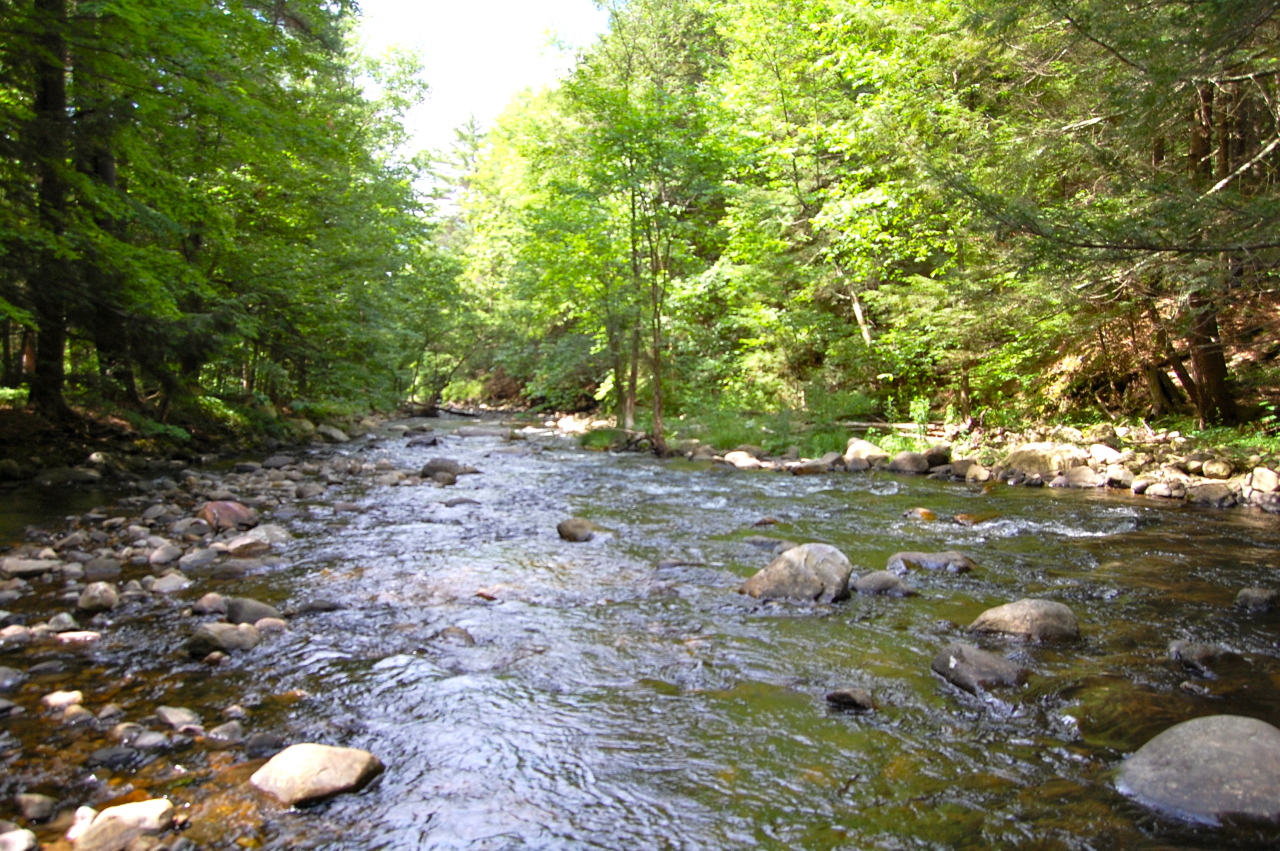 201 Hatchery Road New Marlborough, MA 01230 - Photo 31 of 37 KONKAPOT RIVER