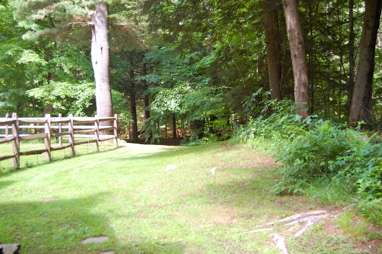 201 Hatchery Road New Marlborough, MA 01230 - Photo 33 of 37 BACKYARD