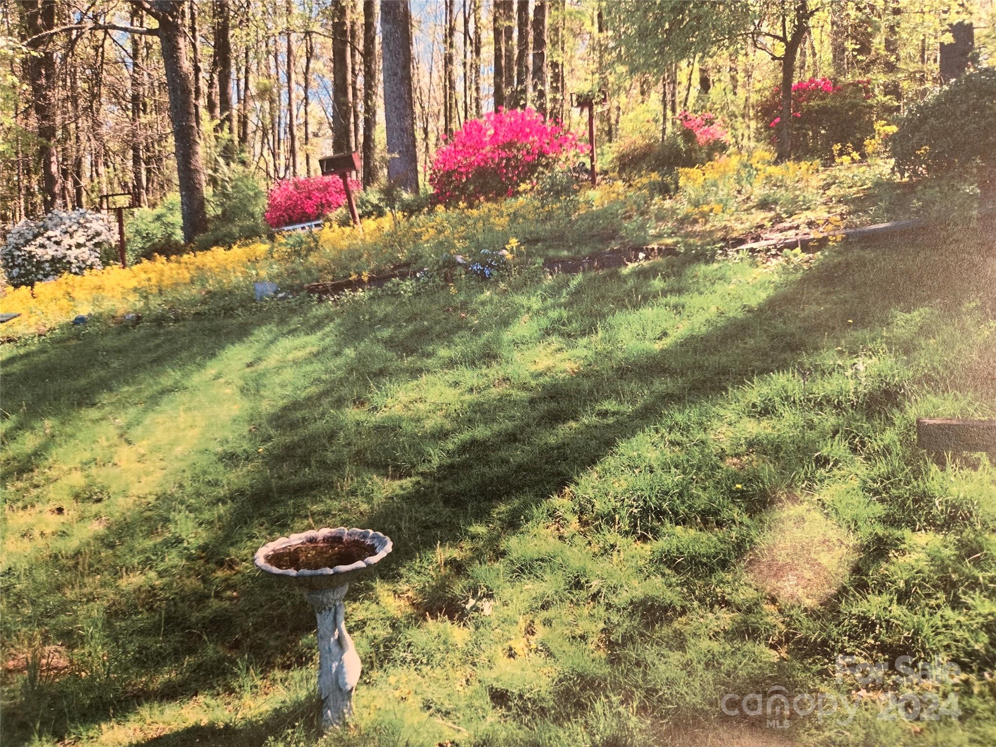 343 Fisher Road Brevard, NC 28712 - Photo 47 of 48 Gallery Image 47