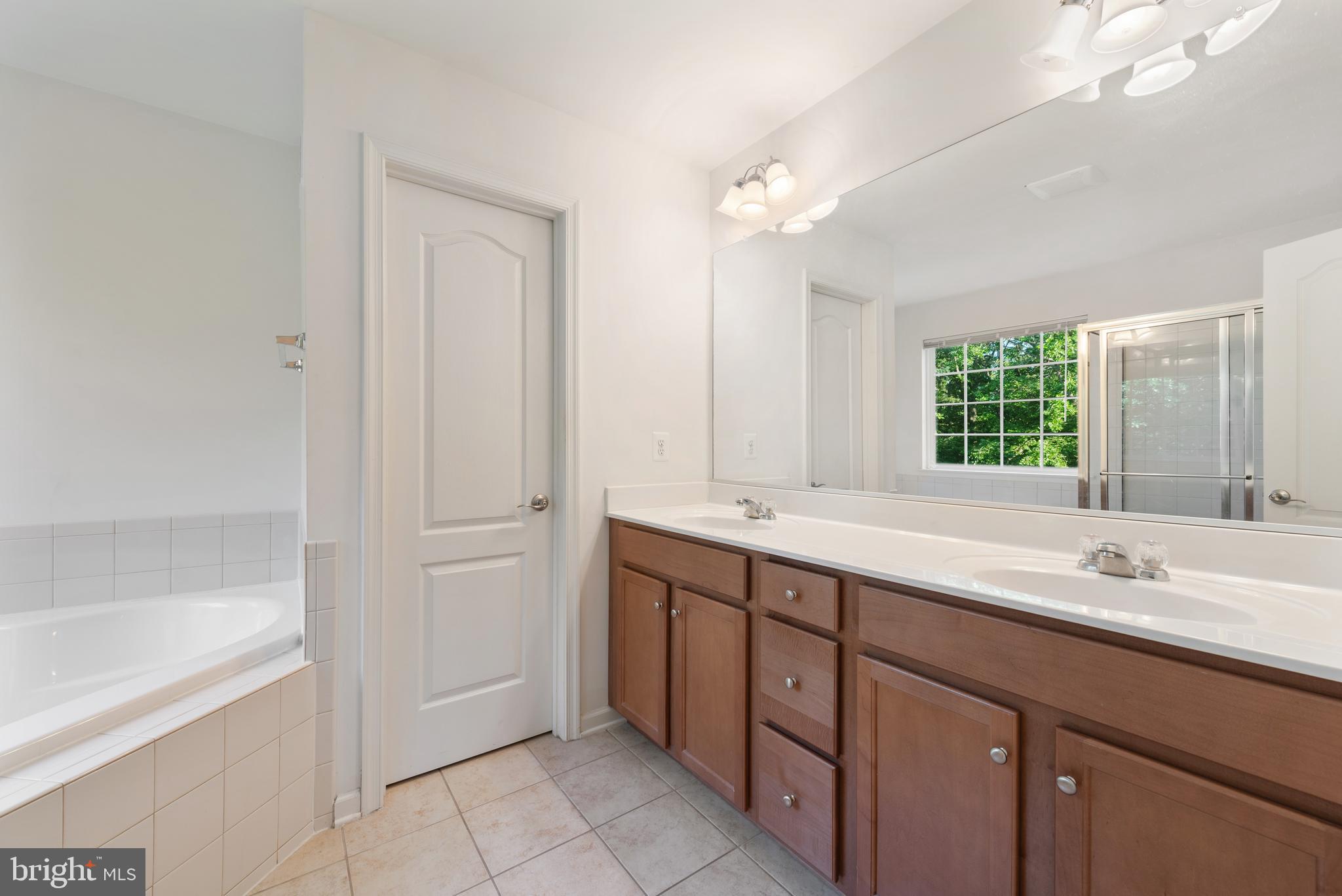 42247 Castle Ridge Square Brambleton, VA 20148 - Photo 22 of 34 Master bath