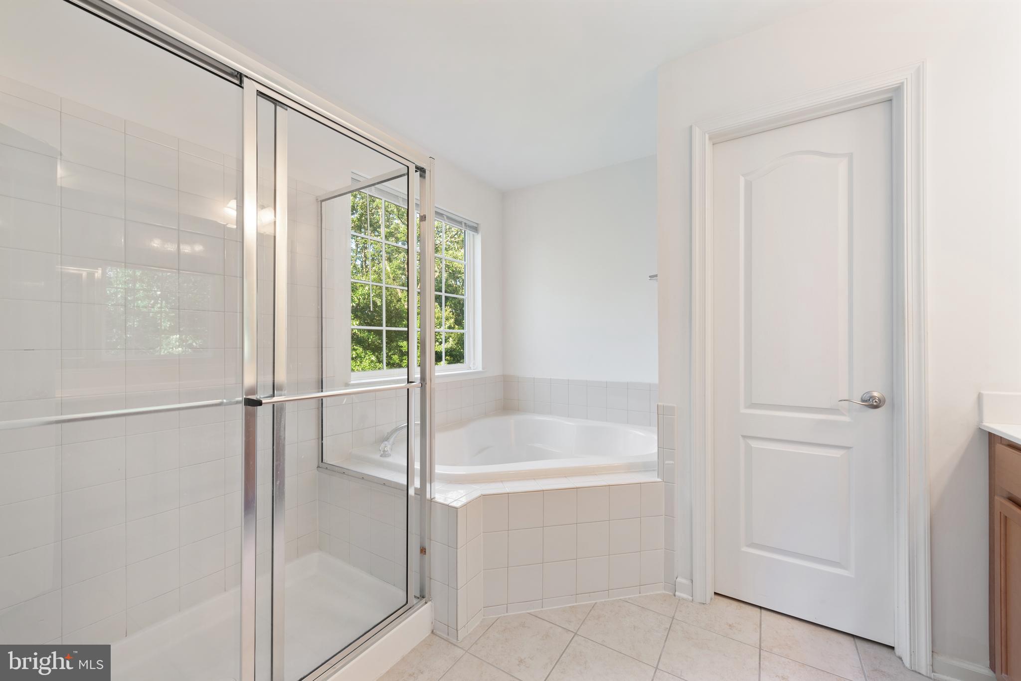 42247 Castle Ridge Square Brambleton, VA 20148 - Photo 23 of 34 Tub and stand in shower
