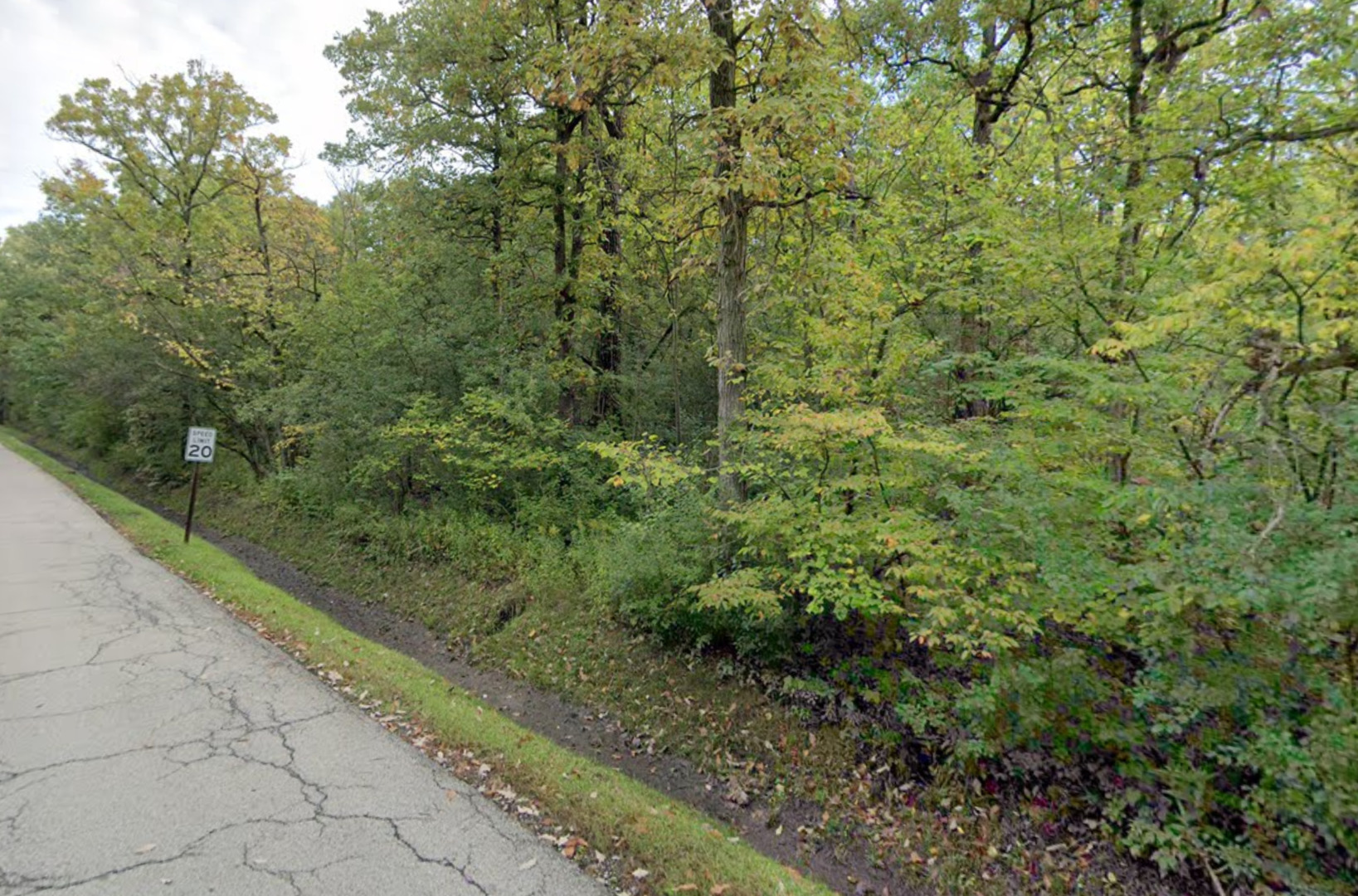 0 Deerfield Road Riverwoods, IL 60015 - Photo 4 of 7