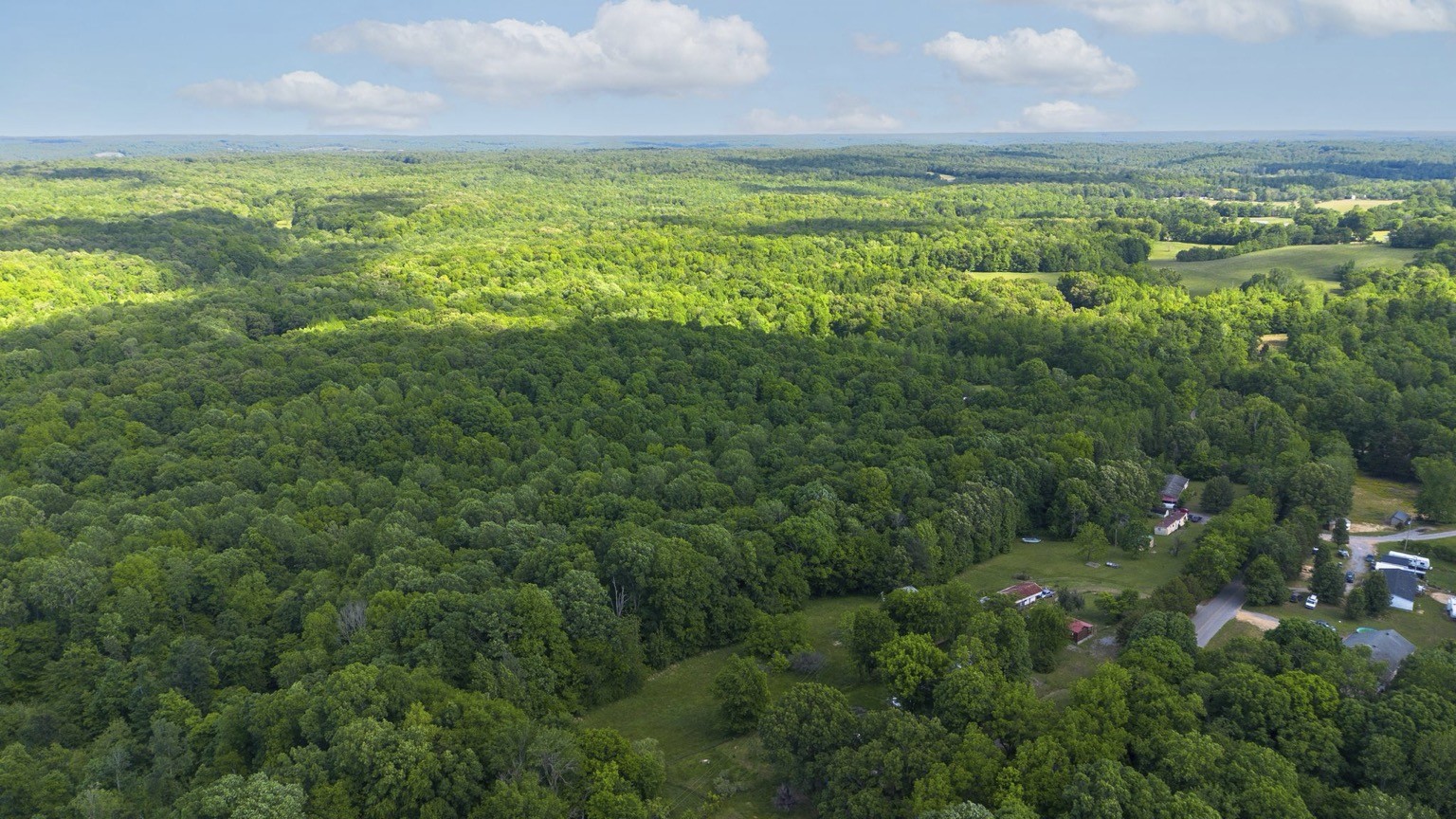 391 Gunson Ridge Road Cumberland City, TN 37050 - Photo 41 of 43 Gallery Image 41