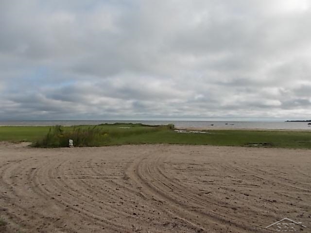 31208685-6.JPG