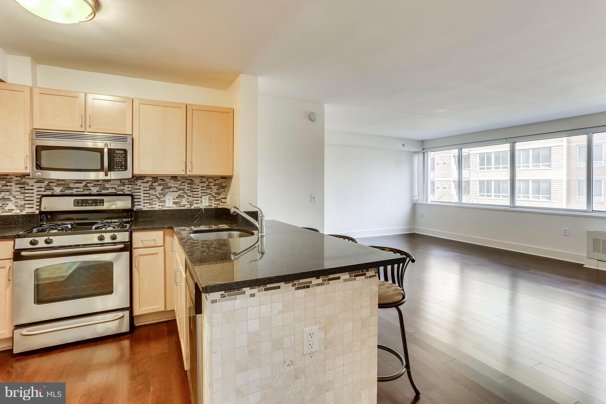 800 4th Street Southwest, Unit N111 Washington, DC 20024 - Photo 4 of 35 a kitchen with stainless steel appliances granite countertop a stove a sink and a microwave