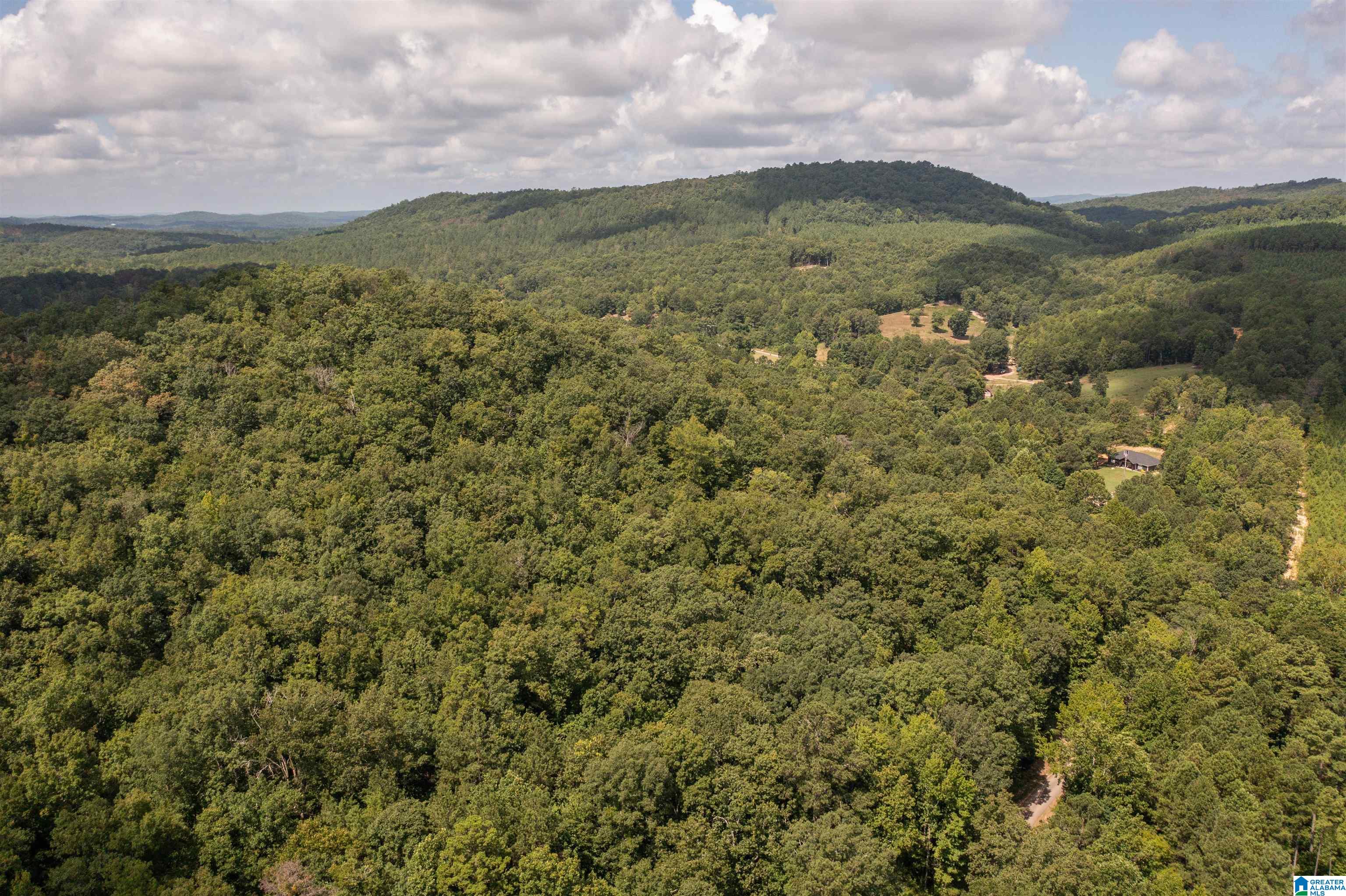 1961 Dripping Rock Road Piedmont, AL 36272 - Photo 34 of 47