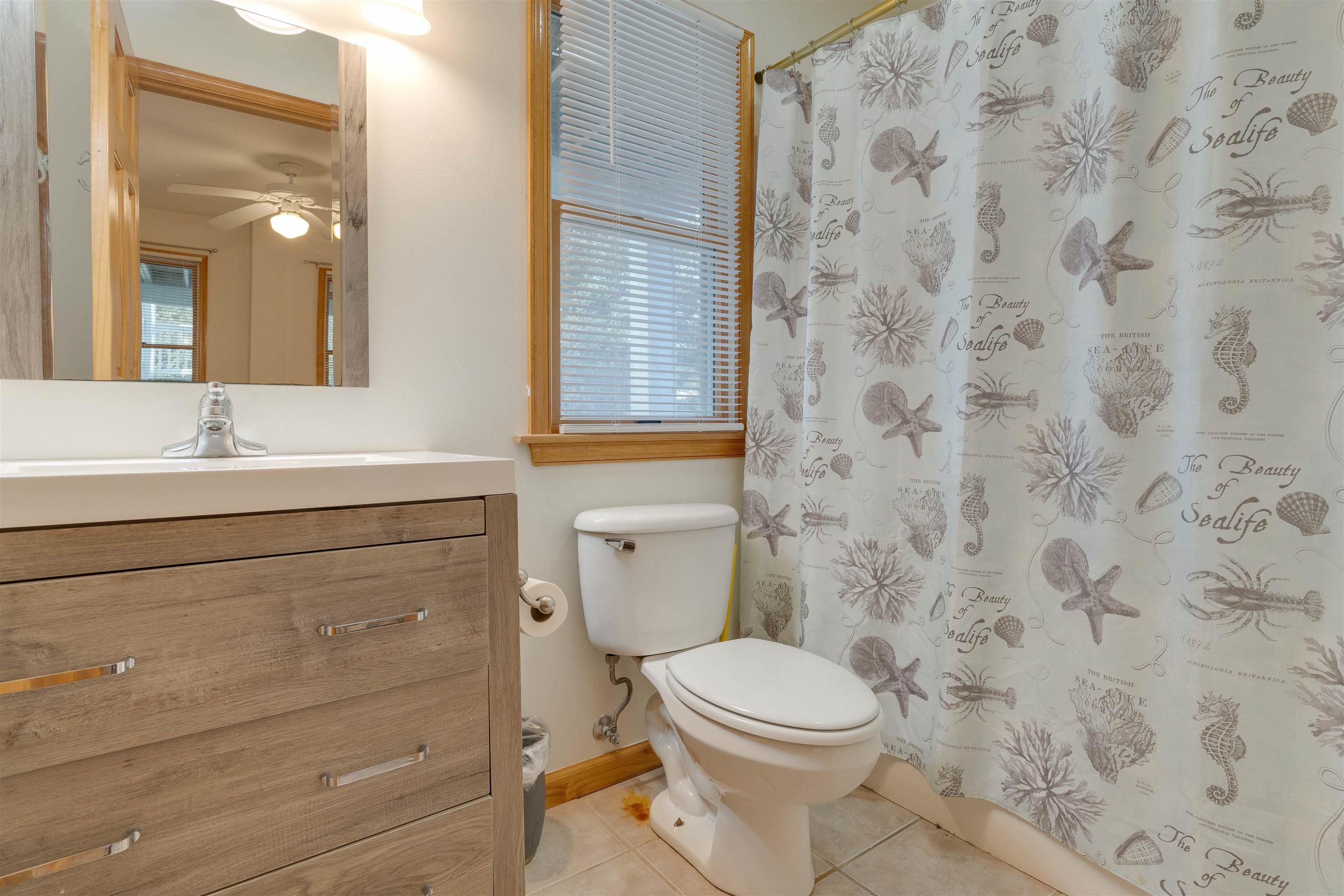 473 Island Lead Road Corolla, NC 27927 - Photo 30 of 37