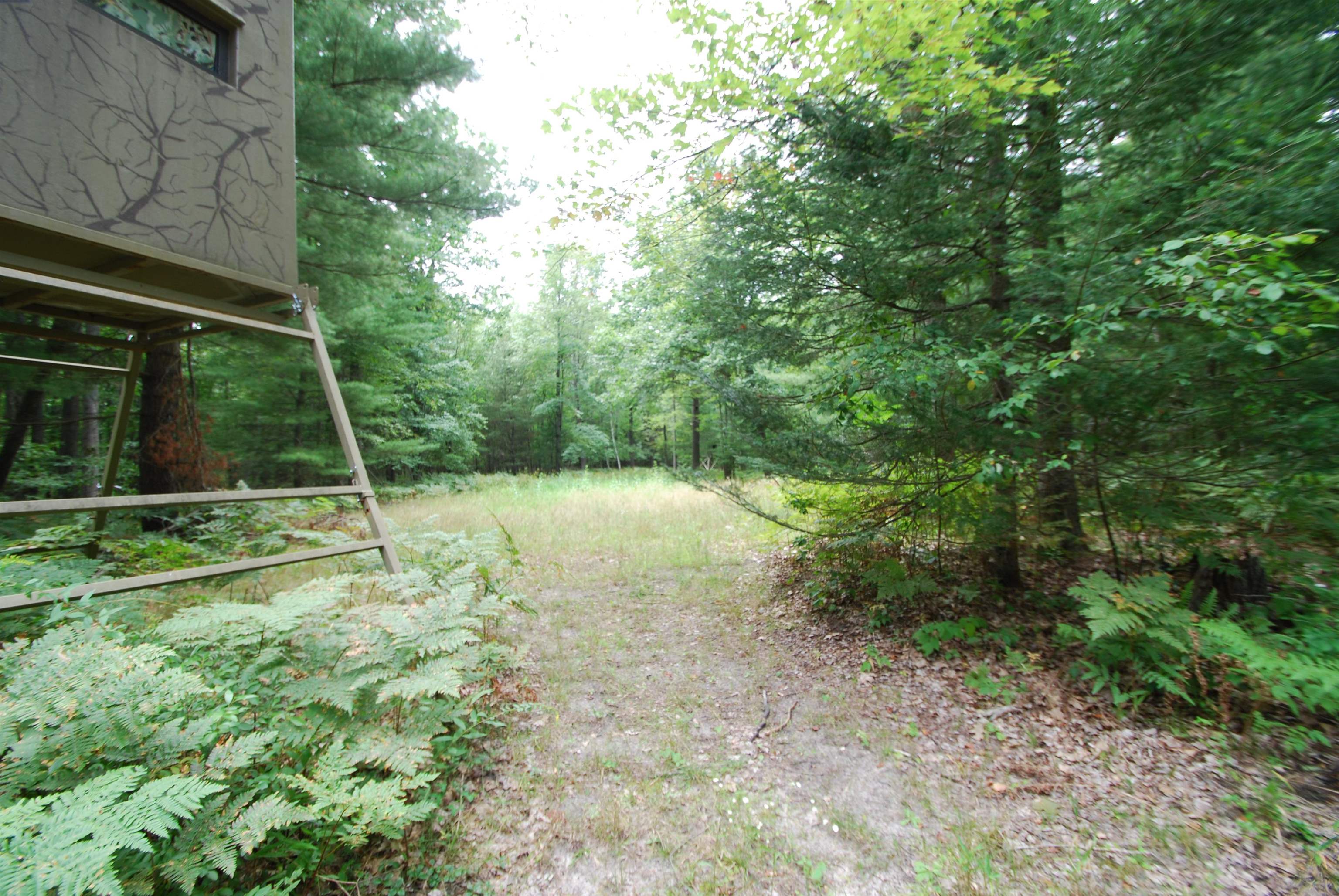2782 River Ridge Road Alger, MI 48610 - Photo 15 of 81 1938222-bb30979f-cb9c-497d-bdac-4073ba740710.JPG