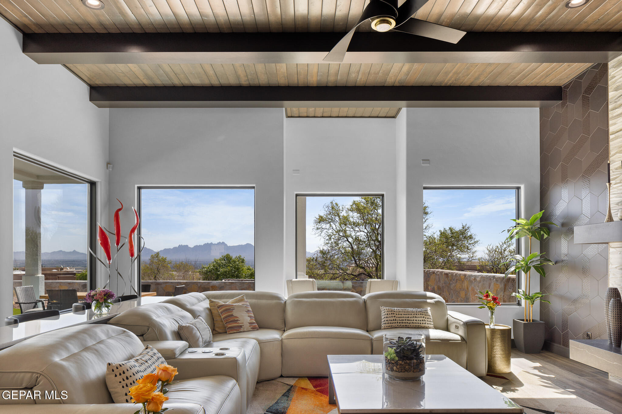 8176 Constitution Road Las Cruces, NM 88007 - Photo 56 of 215 _E0A1018