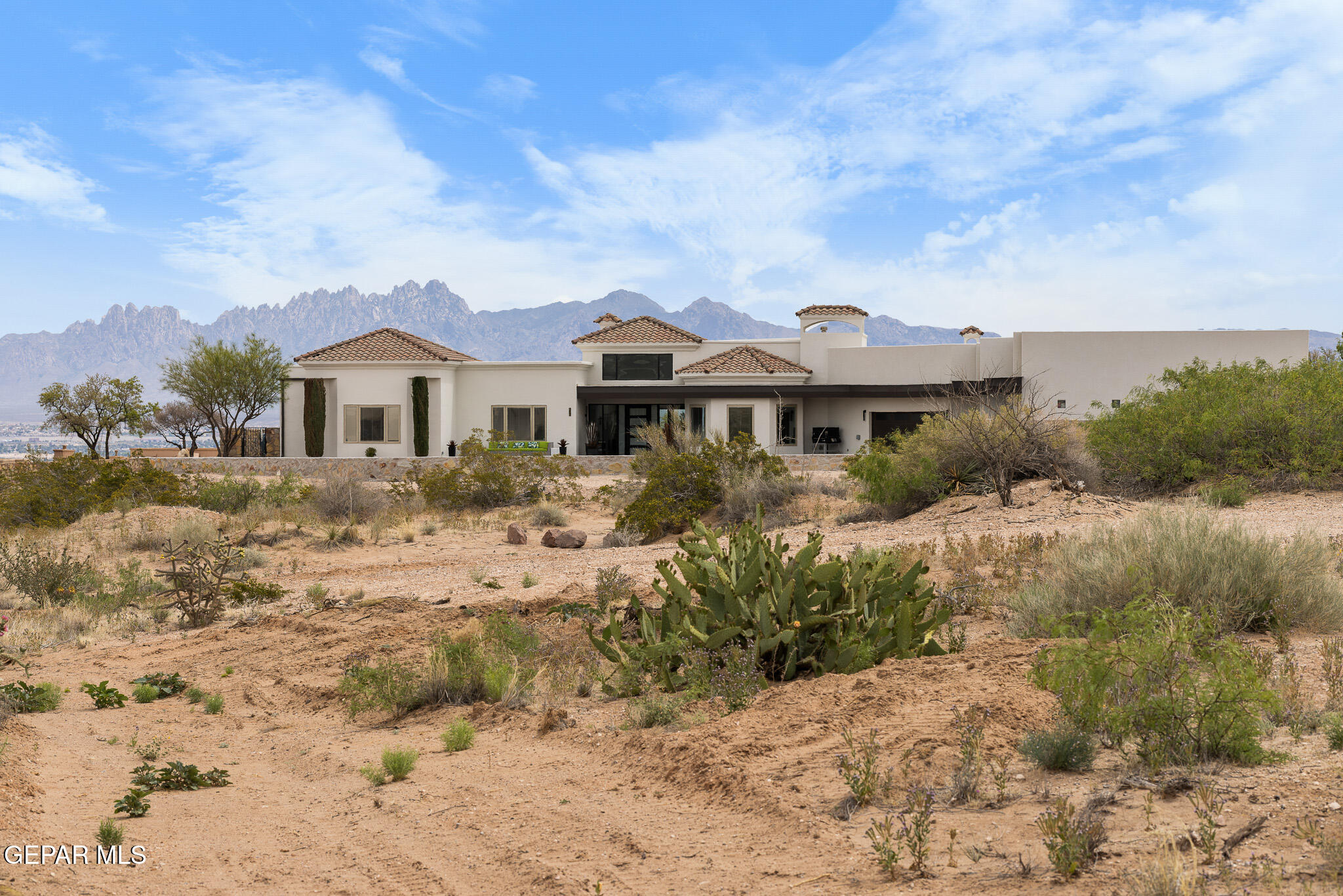 8176 Constitution Road Las Cruces, NM 88007 - Photo 7 of 215 _E0A0501