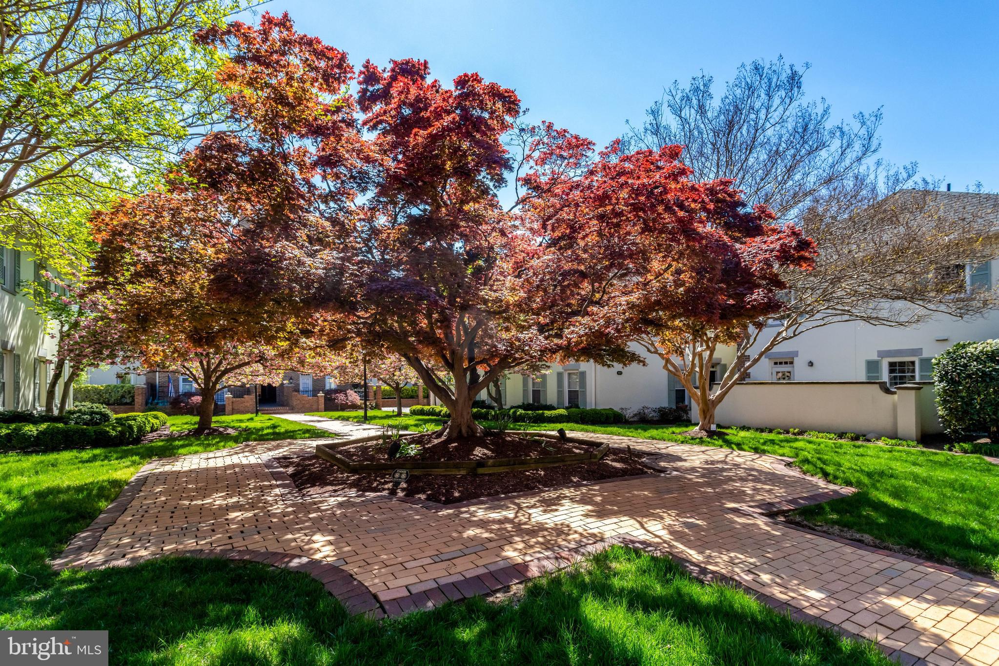 402 2nd Street Alexandria, VA 22314 - Photo 51 of 90 Beautiful landscaping