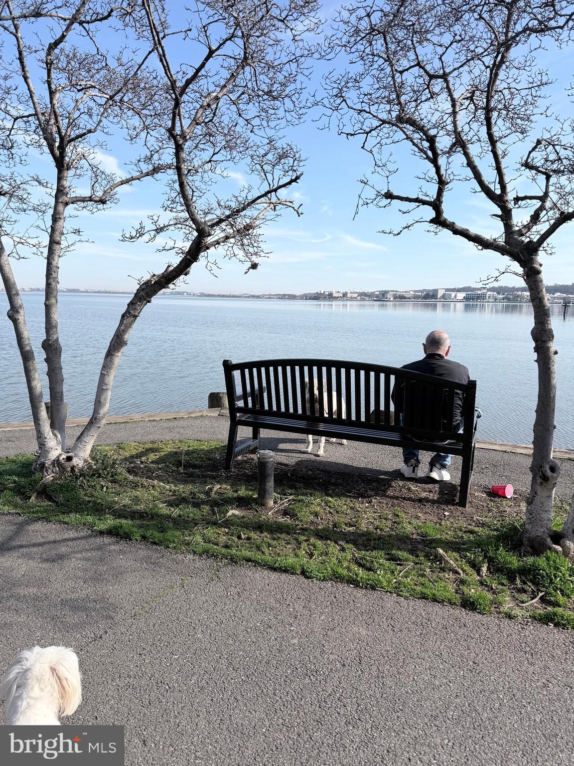 402 2nd Street Alexandria, VA 22314 - Photo 54 of 90