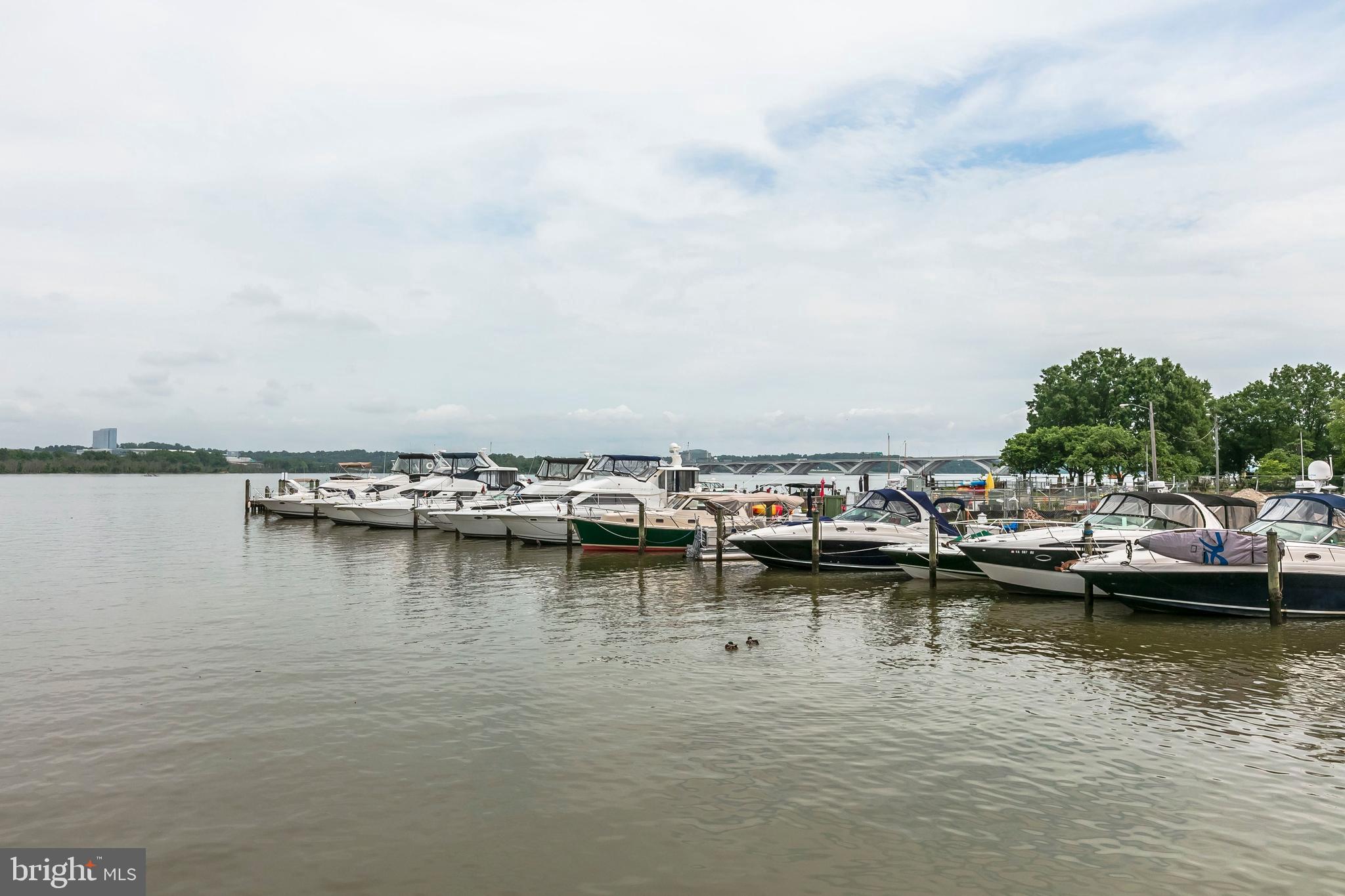 402 2nd Street Alexandria, VA 22314 - Photo 77 of 90
