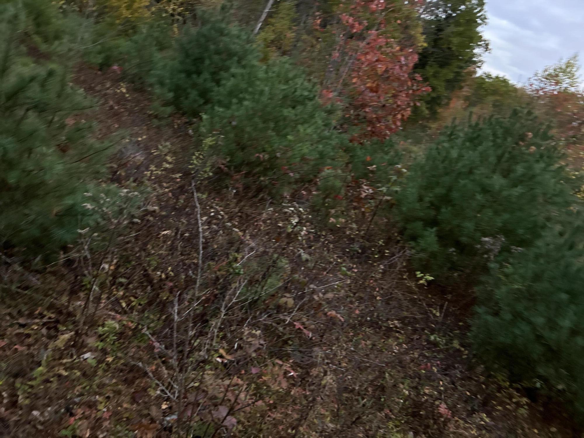 401 Genthner Road Waldoboro, ME 04572 - Photo 6 of 35