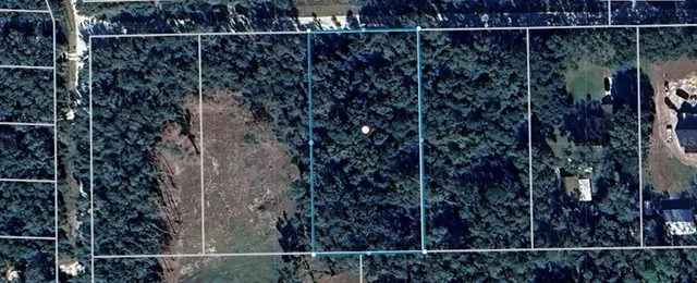 $45,000 | 32468 Square Stone Street, Webster, FL 33597