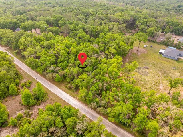 a view of a yard with plants