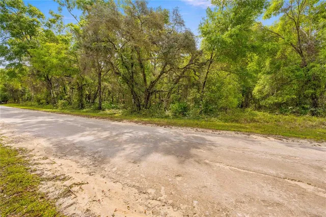 a view of road and trees