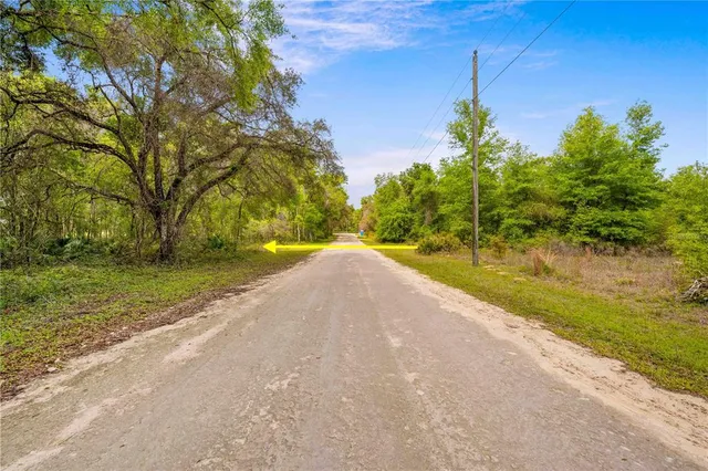 a view of a yard with plants and trees