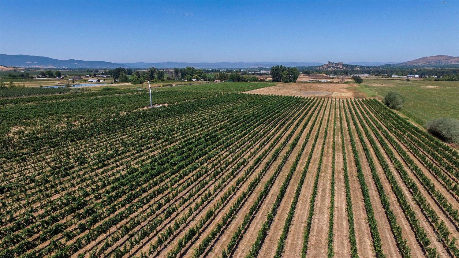 0 Coleman Creek Road Phoenix, OR 97535 - Photo 6 of 26 Additional Photo