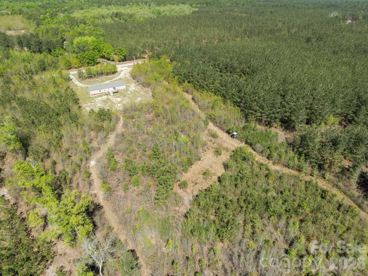 4210 Aaron Temple Church Road Bennettsville, SC 29512 - Photo 46 of 48