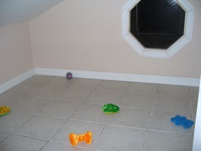 53 Precinct Street Middleboro, MA 02346 - Photo 38 of 39