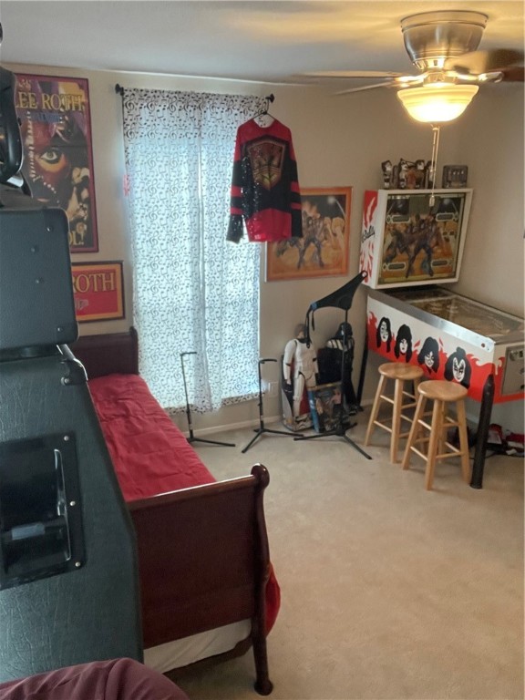 513 White Wing Way Round Rock, TX 78664 - Photo 11 of 20